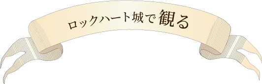 観る